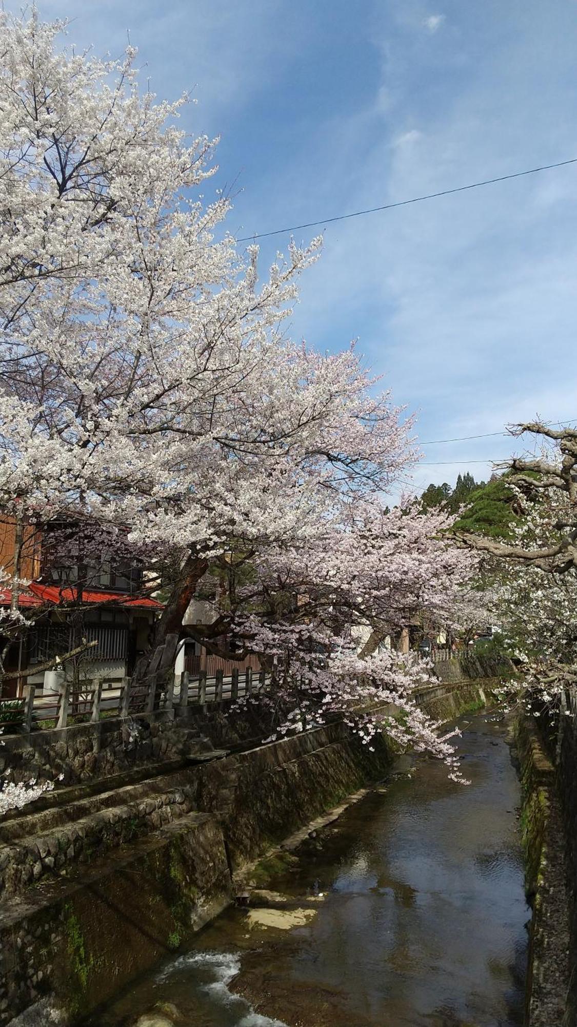 Daihachi Hotel Takayama  Exterior photo